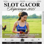 Mengenal Javabetsport Situs Sabung Ayam Online Terpercaya